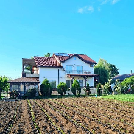 Nobless Villa Mereni  Dış mekan fotoğraf