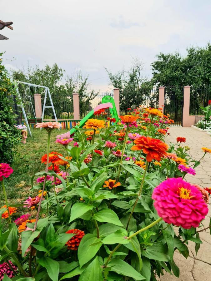 Nobless Villa Mereni  Dış mekan fotoğraf