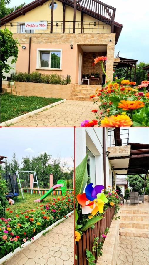 Nobless Villa Mereni  Dış mekan fotoğraf