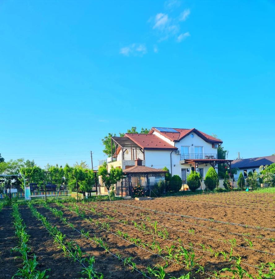 Nobless Villa Mereni  Dış mekan fotoğraf